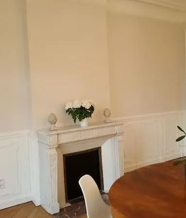 Apartment Center Of - Large Refurbished Historic Flat Reims