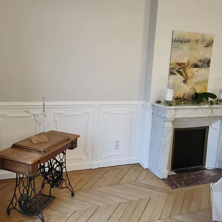 Center Of - Large Refurbished Historic Flat Apartment Reims