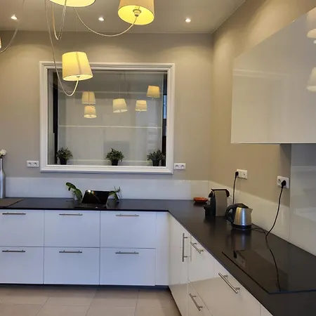 Center Of - Large Refurbished Historic Flat Reims