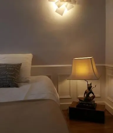 Center Of - Large Refurbished Historic Flat Reims